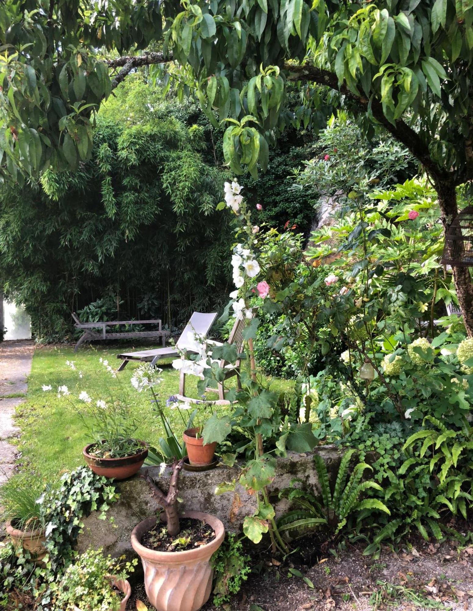 L'Heure Bleue Bed & Breakfast Saintes Ngoại thất bức ảnh